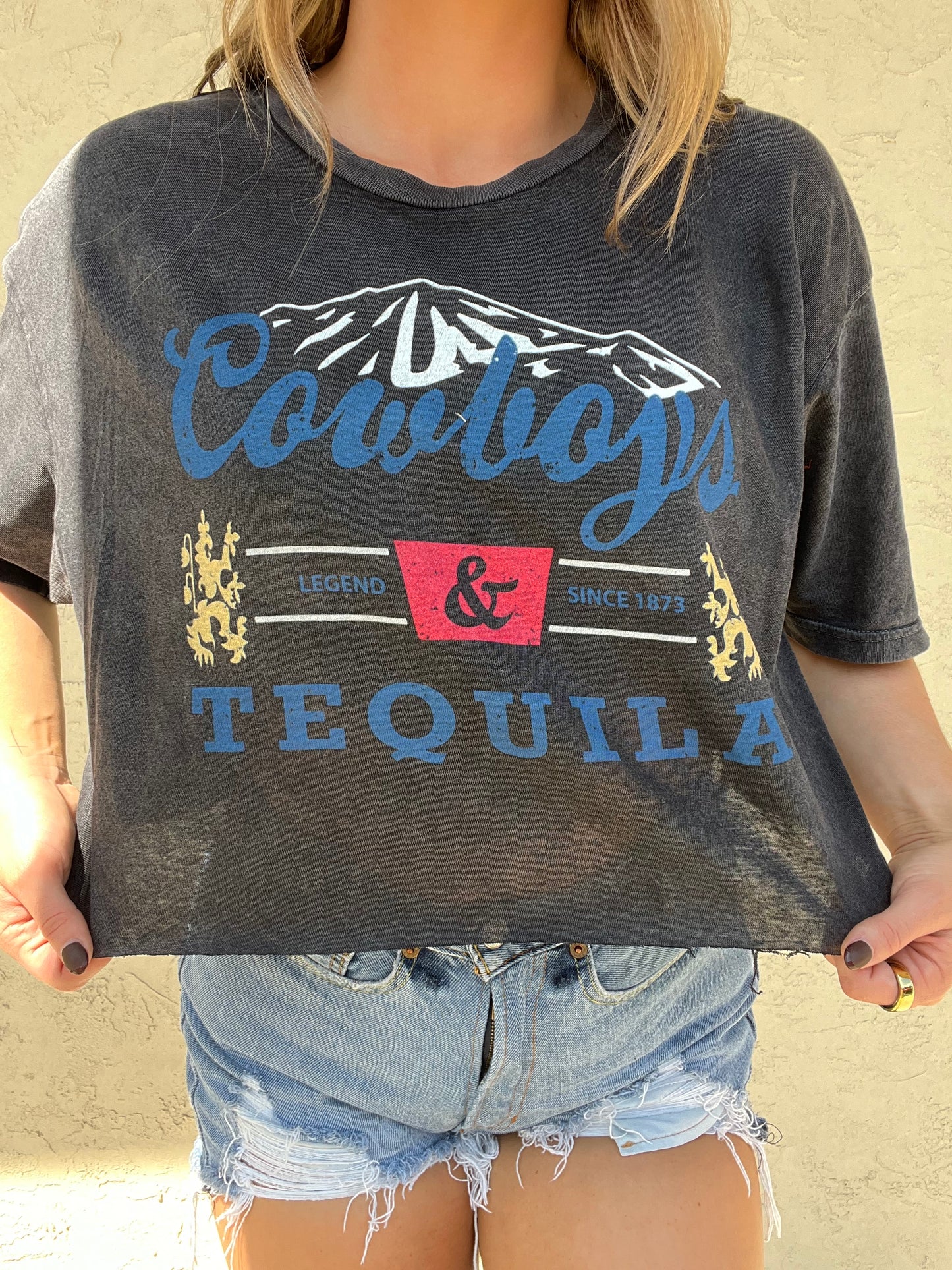 Cowboys & Tequila Vintage Wash Crop Top