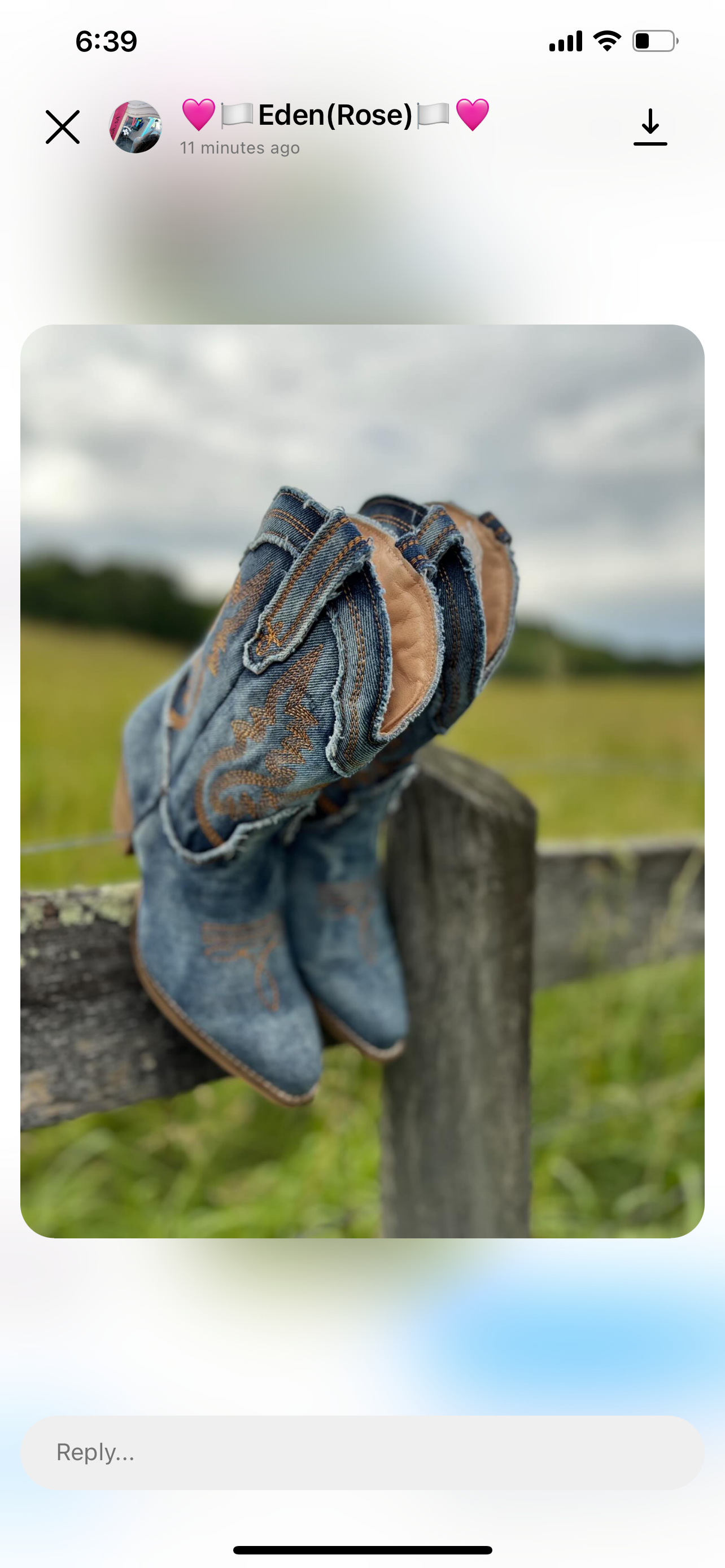 Denim cowboy Boots